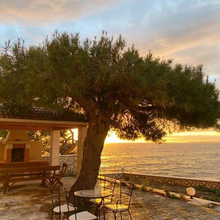 Apartment L'Odore Del Mare Dolac エクステリア 写真